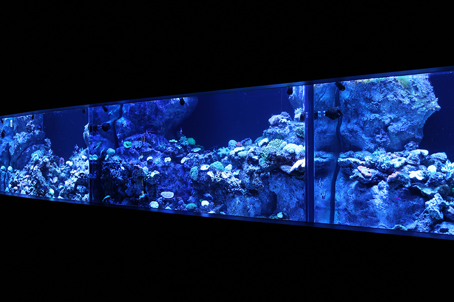 エプソン アクアパーク品川