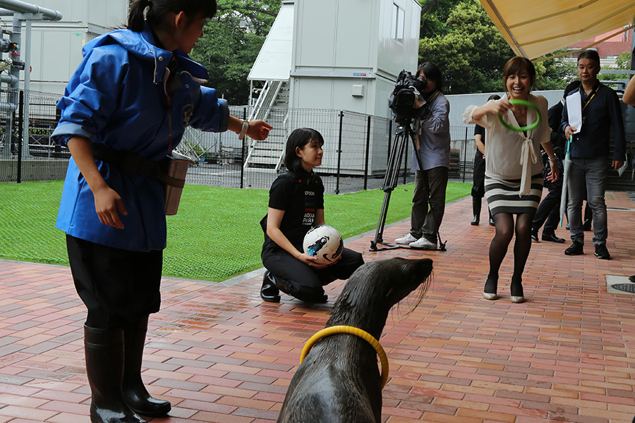 エプソン アクアパーク品川