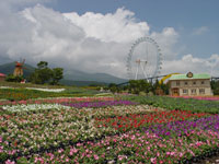 2004年7月プレスプレビューにて撮影