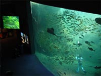 2004N4vXvr[ɂF717ŎBe