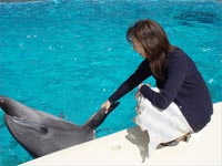 2004N4vXvr[ɂF717ŎBe