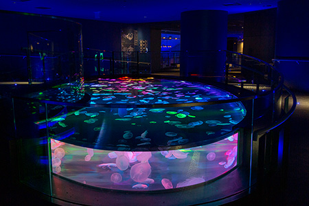 すみだ水族館、2020年7月撮影