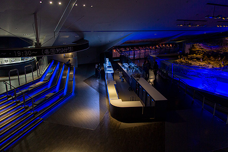 すみだ水族館、2012年5月内覧会にて撮影