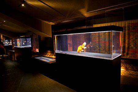 すみだ水族館、2012年5月内覧会にて撮影