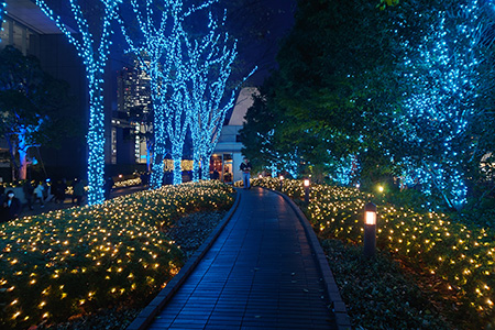 新宿サザンテラスのイルミネーションの画像