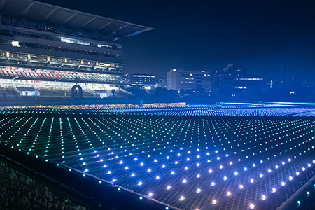 『東京メガイルミ』の画像