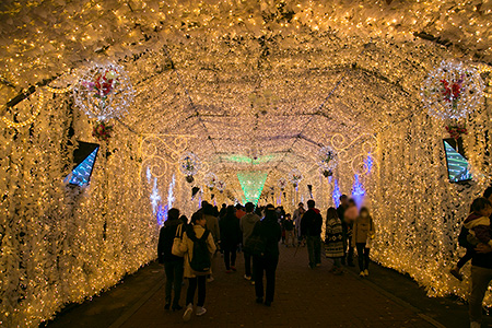 時の栖、2016年撮影