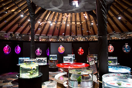 時の栖、2016年撮影