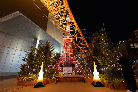 2018年11月3日撮影