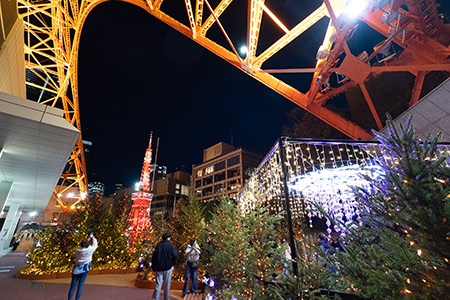 2018年11月3日撮影