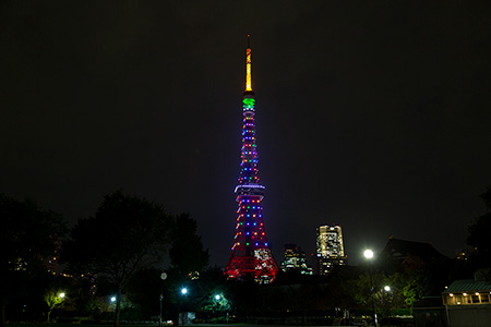 2018年11月3日撮影