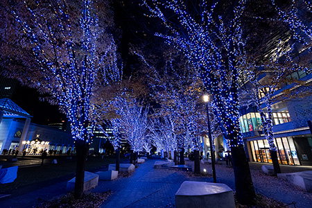 ヨコハマミライト