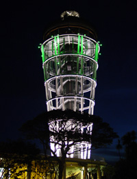 2004N619TGRbLOɂĎBe