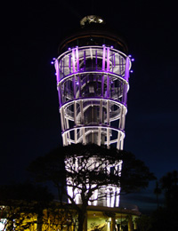 2004N619TGRbLOɂĎBe