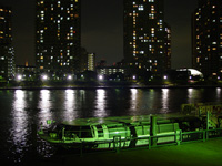 2005N512SONY@F717ɂĎBe