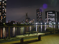 2005N512SONY@F717ɂĎBe