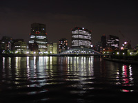 2005N512SONY@F717ɂĎBe