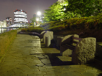 2005N512SONY@F717ɂĎBe